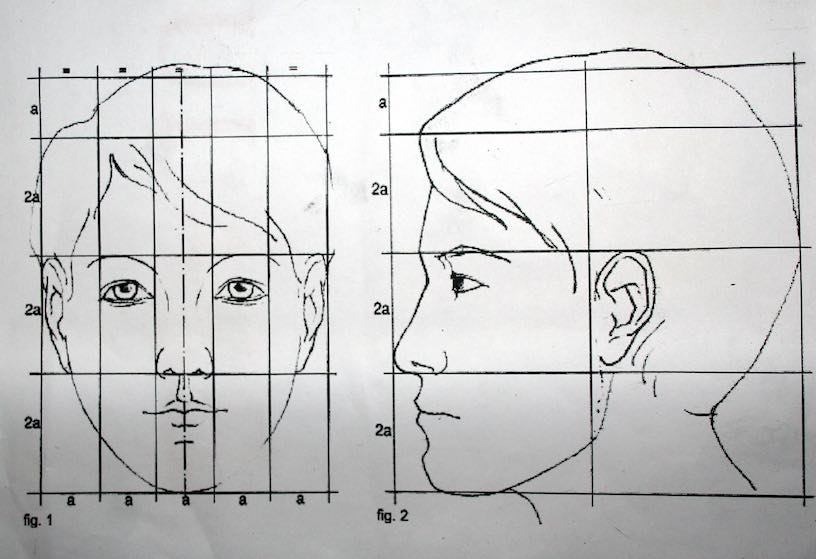 Пропорции лица рисунок