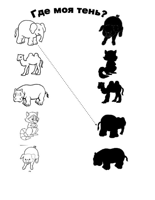 Тени животных картинки для распечатки для детей