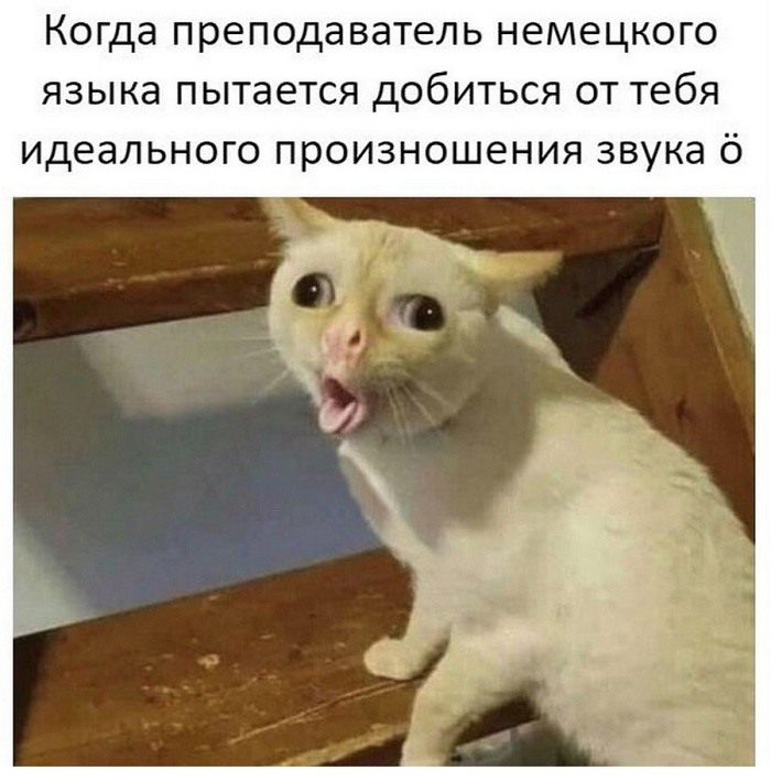 Шуточные картинки про