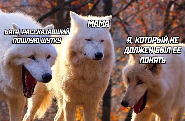 Шуточные картинки про