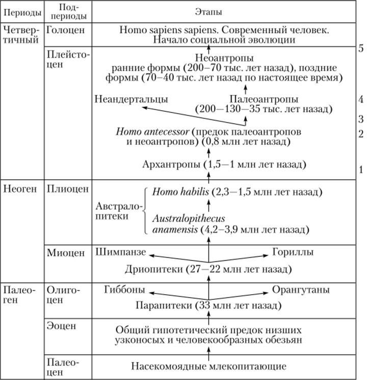 План характеристики человека 7 класс