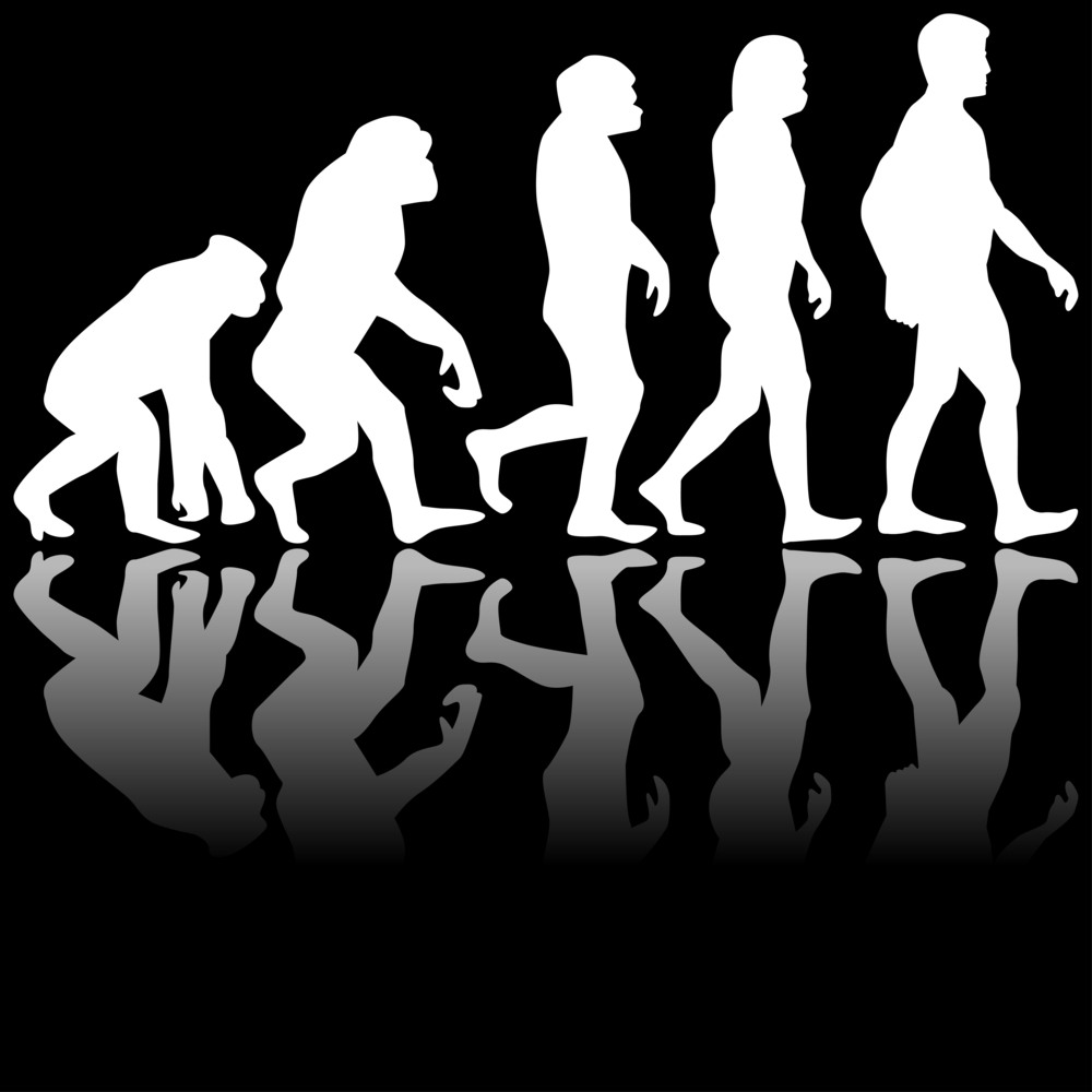 Фото эволюция человека из обезьяны человека