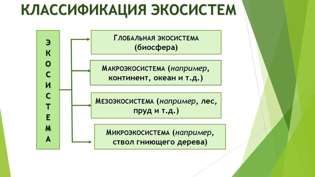 Экосистема является