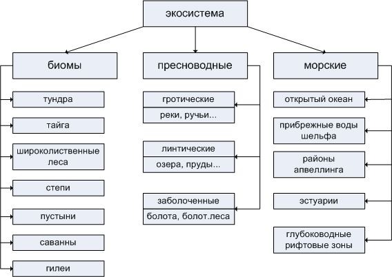 Тинькофф экосистема картинка