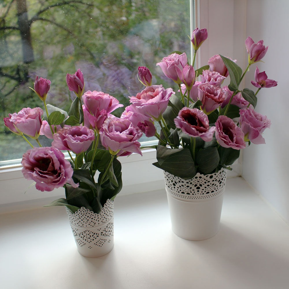 Цветы которые долго стоят в вазе названия и фото