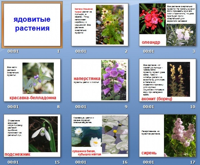 Как определить растение по картинке
