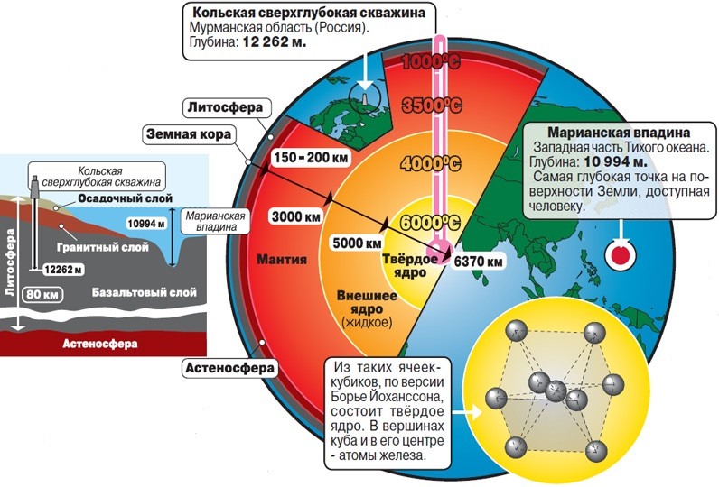 Экосистема земли картинки