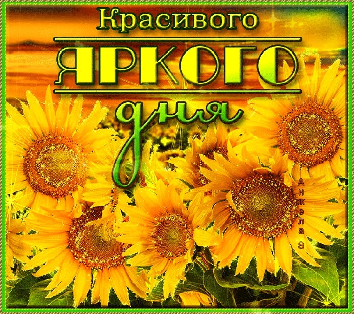 Яркого дня картинки