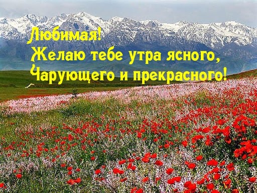 Утра ясного дня прекрасного картинки