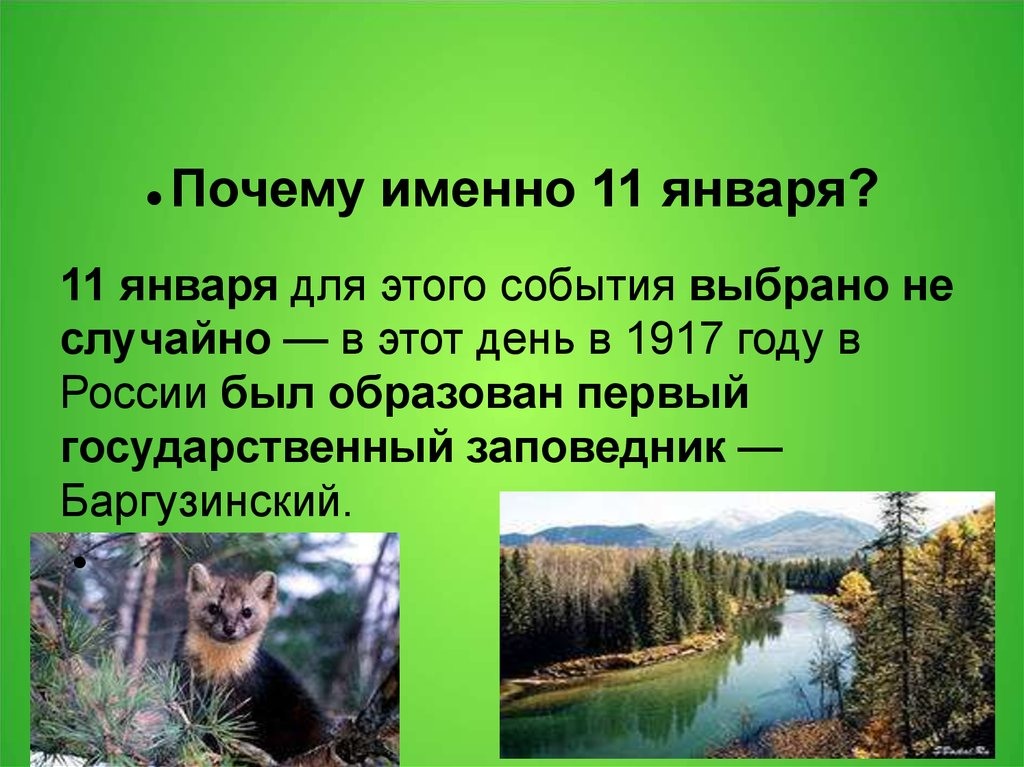 Праздник заповедников и национальных парков. 11 Января Всемирный день заповедников и национальных парков. 11 Января - день заповедников и парков России. 11 Января день заповедников день заповедников и национальных парков. Картинка к Дню заповедников и парков.