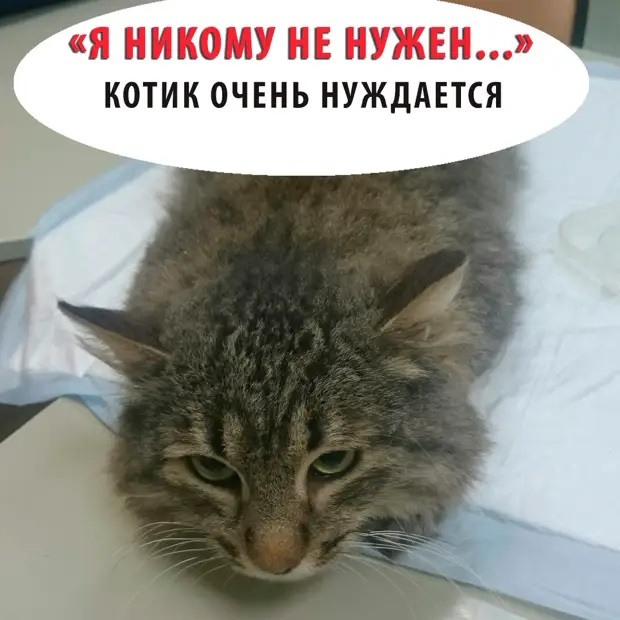 Обои ты никому не нужен