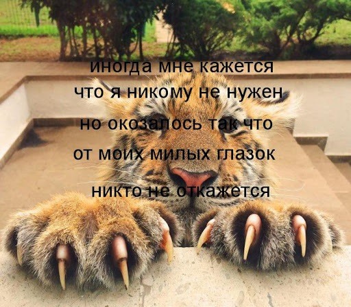 Обои ты никому не нужен