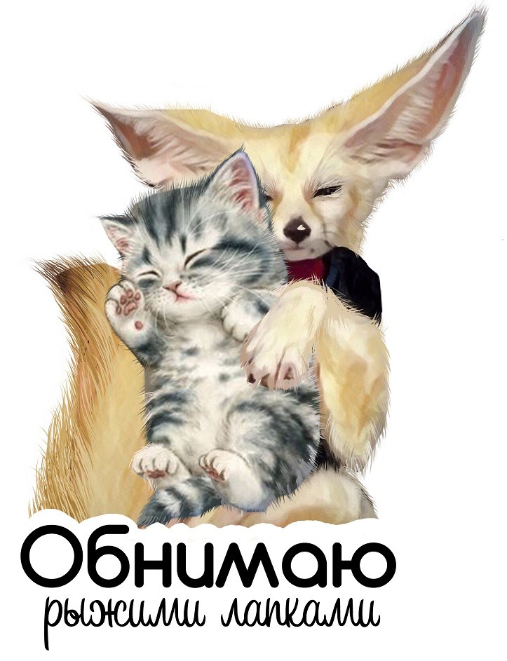 Картинка обнимаю котик