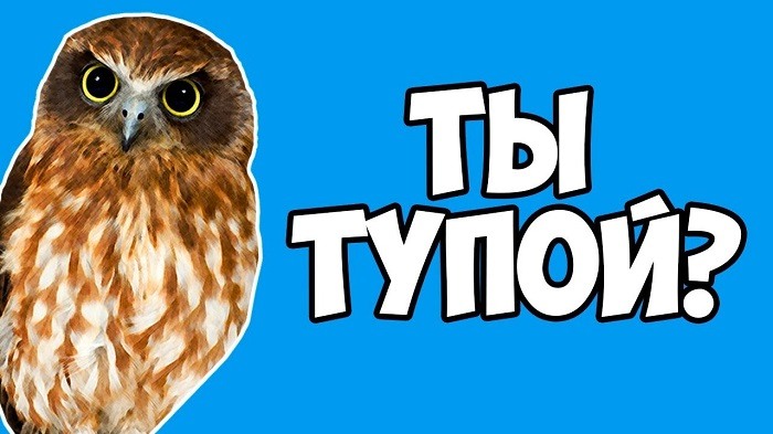 Ты что тупой компьютер