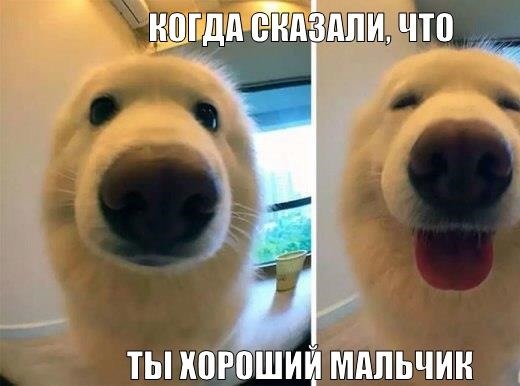 Все плохие один ты хороший картинки