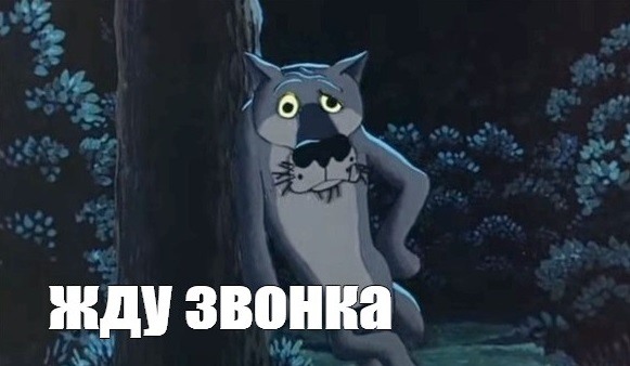 Открой заходи. Звони если что. Спасибо волк из мультика. Волк из мультика жил был пёс с надписью. Шо опять новый год.