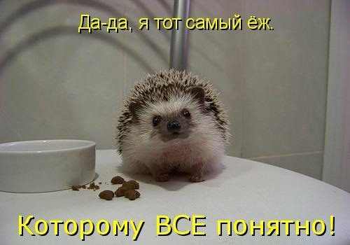 Картинка все понятно