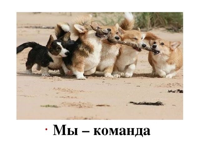 Мы одна команда прикол