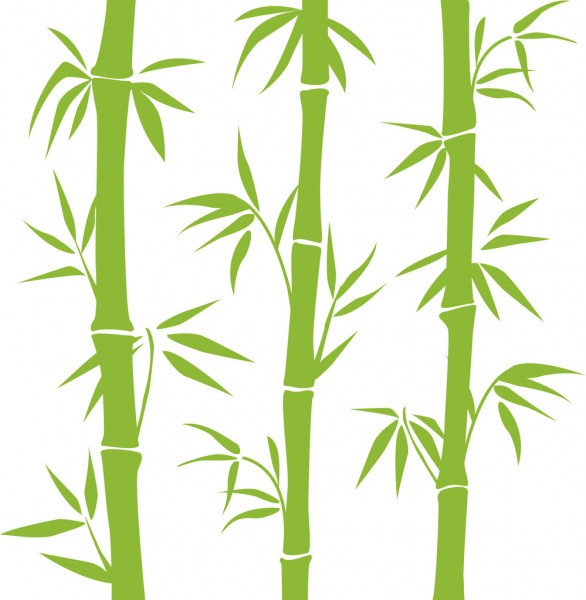 Листья бамбука рисунок