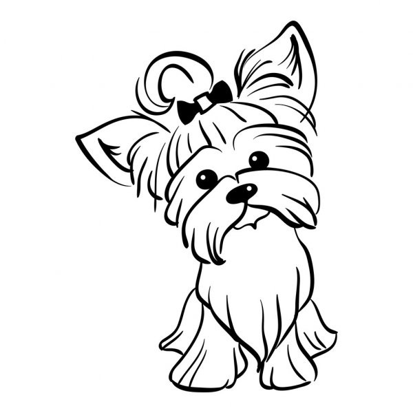 Как нарисовать собаку йоркширского терьера?