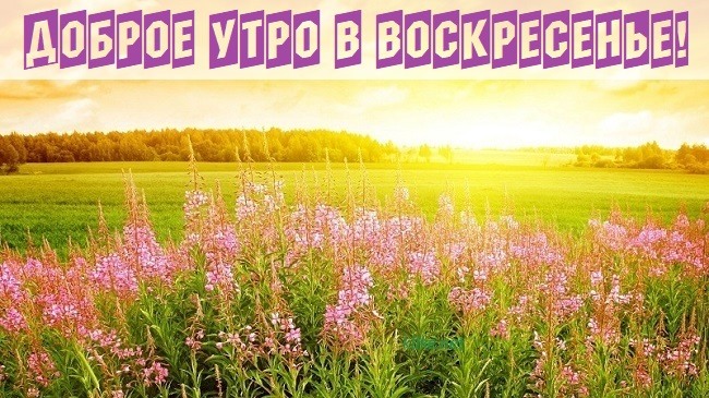 Доброе утро воскресенья картинки красивые весенние новые