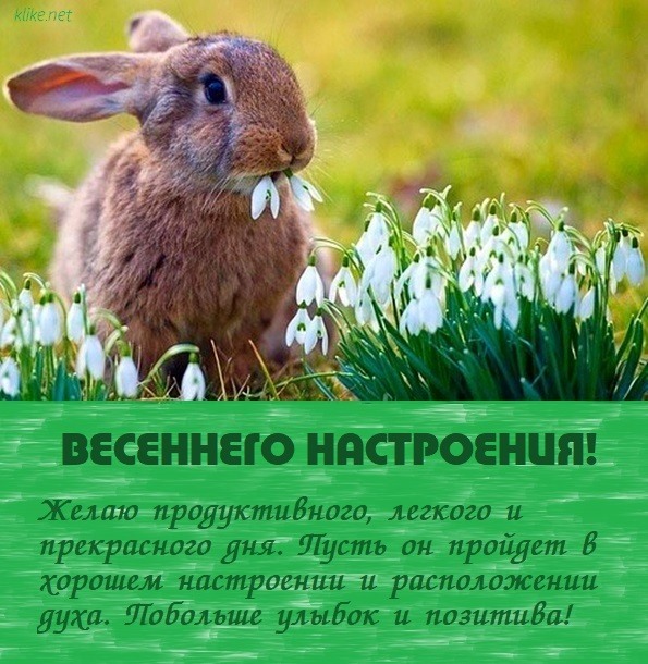 Картинки весеннего настроения бесплатно