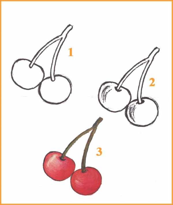 Фрукты рисунок карандашом для срисовки