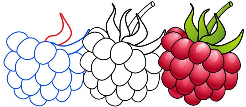 Рисунок малины для срисовки