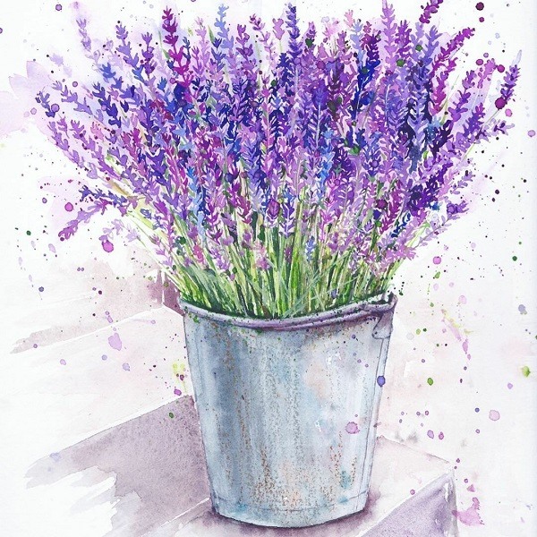 Фиолетовые цветы рисунок