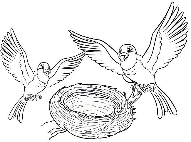 Картинка гнездо для детей раскраска