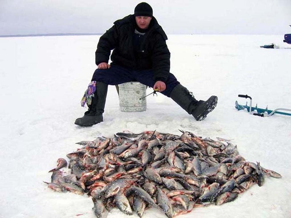 Прикольные фото на зимней рыбалке
