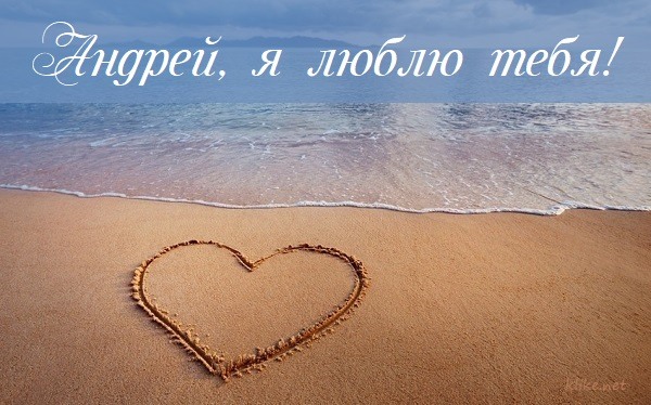 Картинки с надписями, Андрей, я тебя люблю!.
