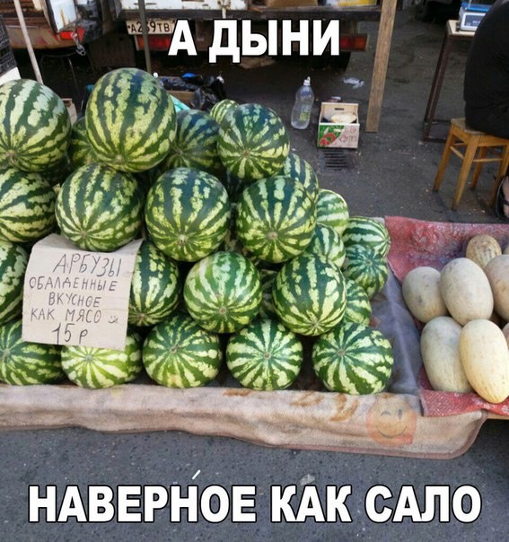 Приколы про сало картинки