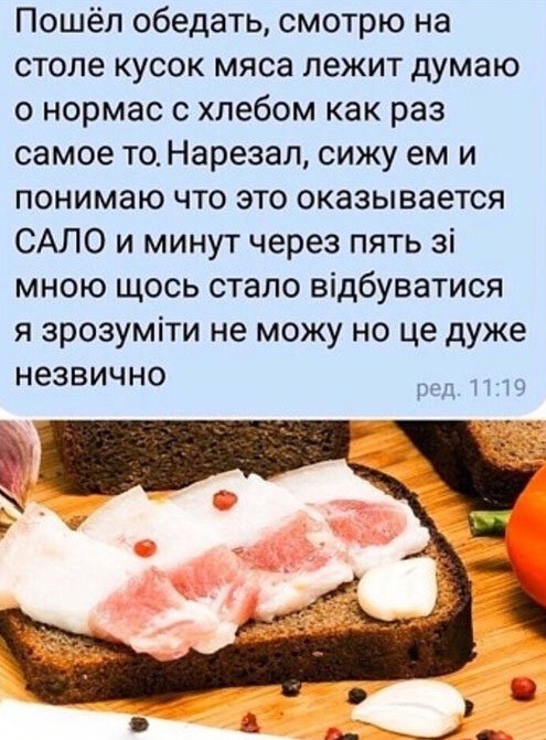 Приколы про сало картинки