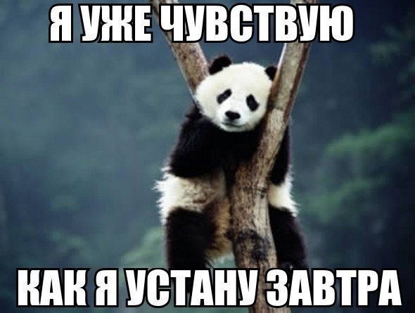 А завтра на работу картинки приколы с надписями прикольные