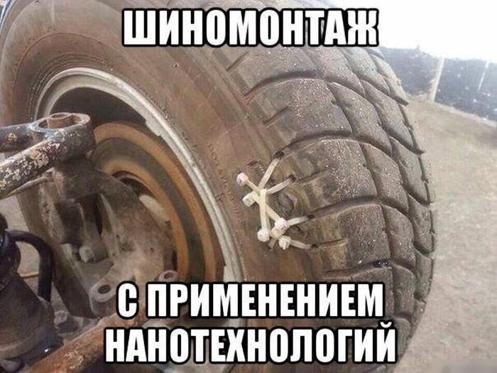 Шины смешные