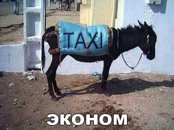 Фото таксиста прикольное