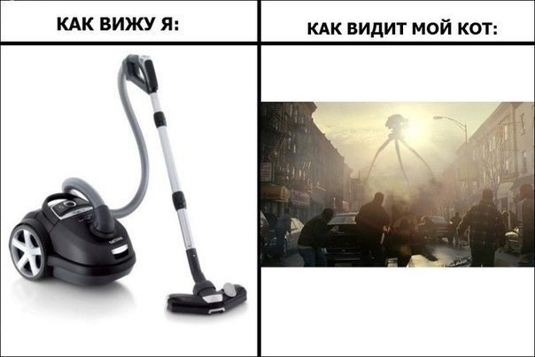 Пылесосить или нет прикол картинка