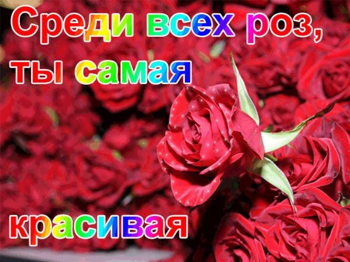 Картинки ты самая прекрасная женщина