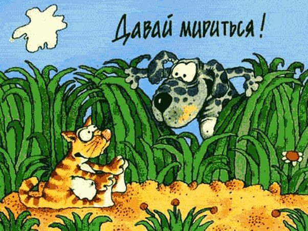 Смешные картинки про примирение