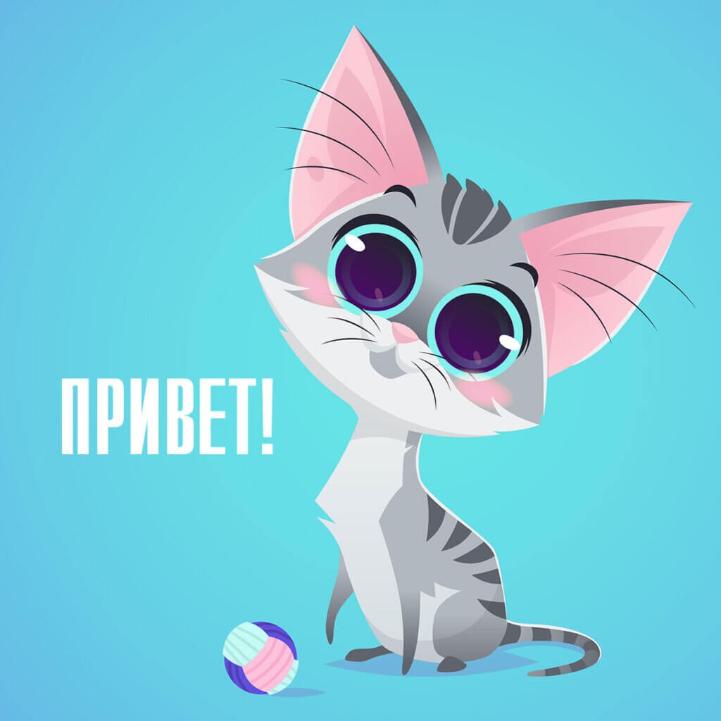 Картинка приветик котик