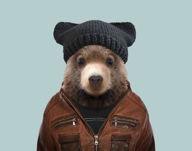 Медведь в пиджаке