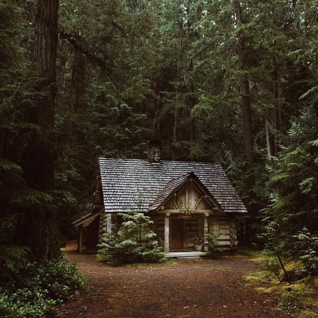 Дом один в лесу фото