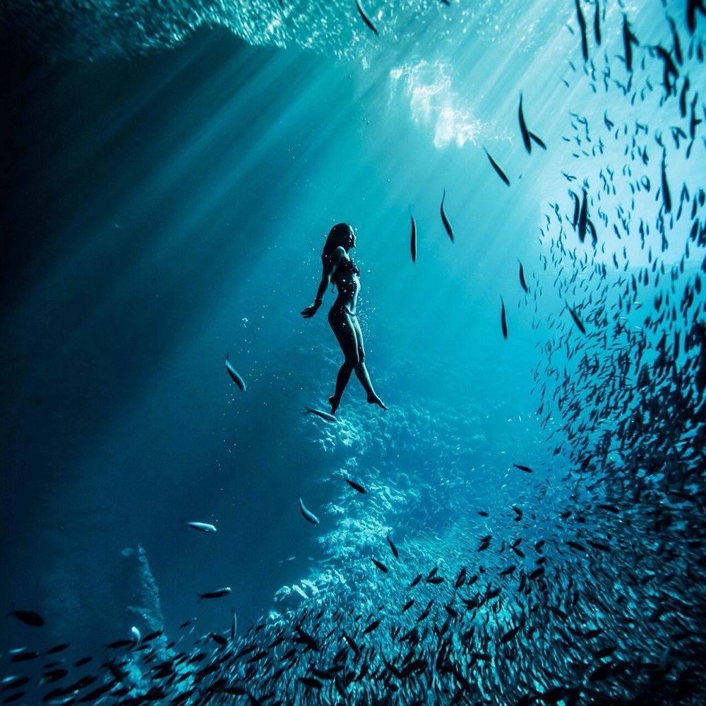Кейт Беллм подводный мир