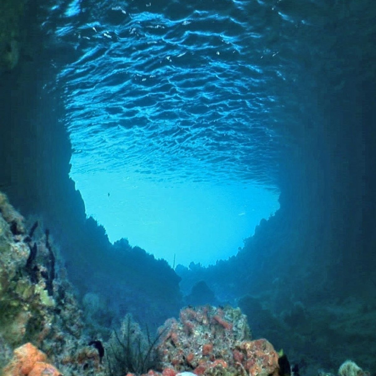 Черное море под водой