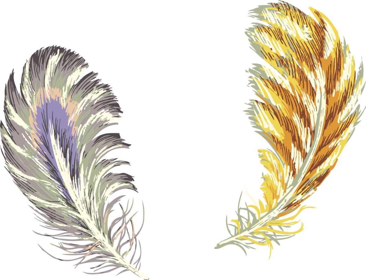 Сказочные перья
