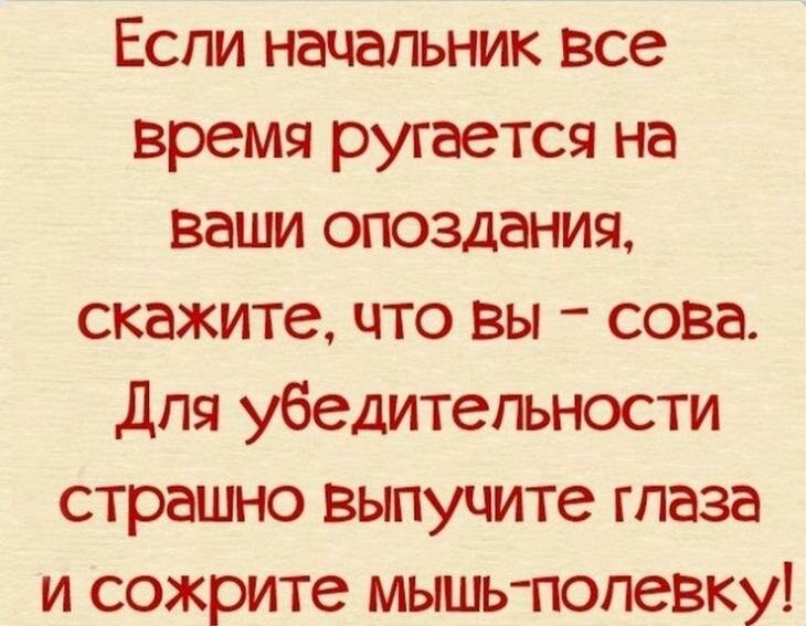 Картинки смешные про работу и начальство