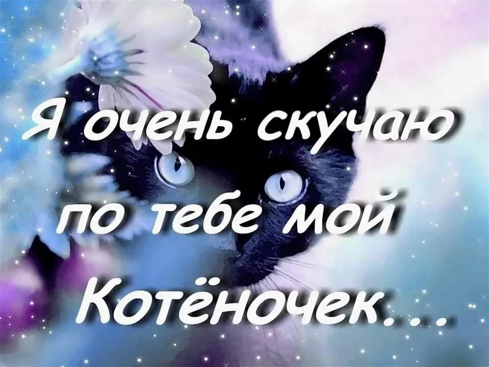 Картинки скучаю по тебе мужу