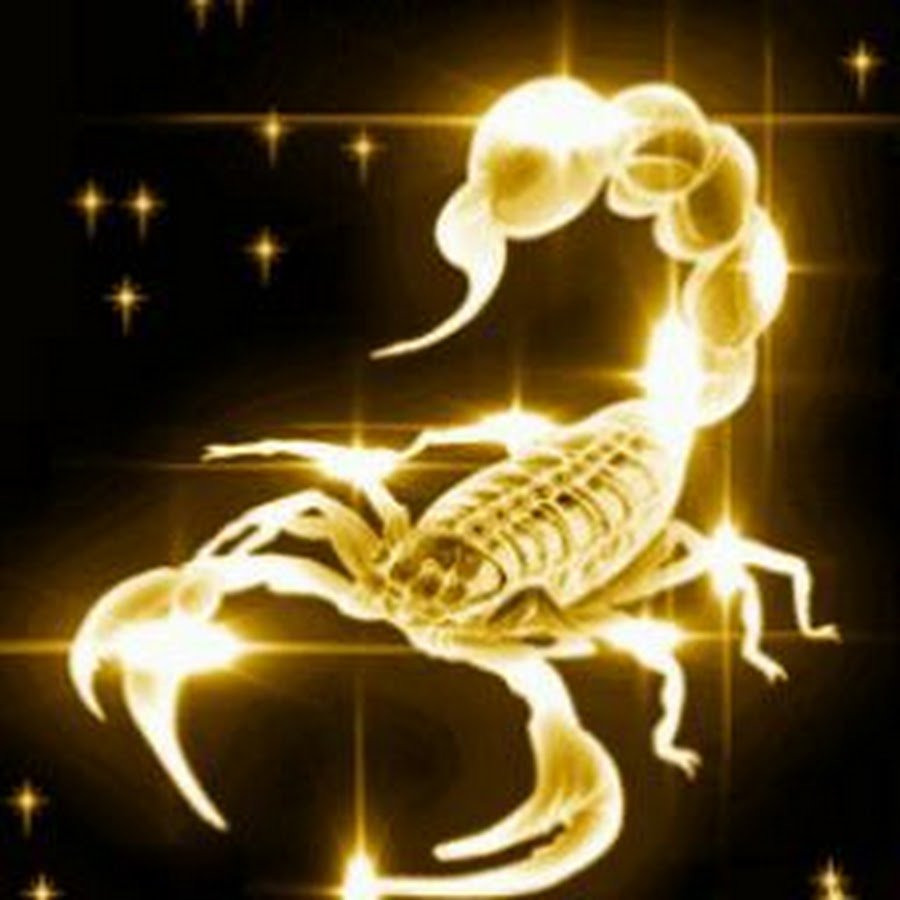 Фото скорпиона на аватарку для женщины с надписью
