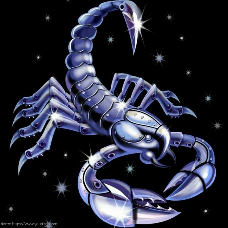 Скорпион Зодиак знак зодиака